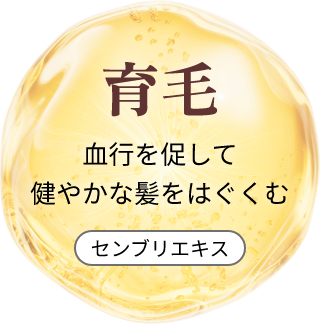 育毛 結構を促して健やかな髪を育む（センブリエキス）